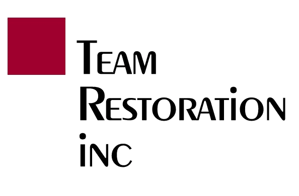 Team Restoration